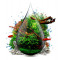 INVITAlL Ferox 500ml INVITAlL Ferox 500ml