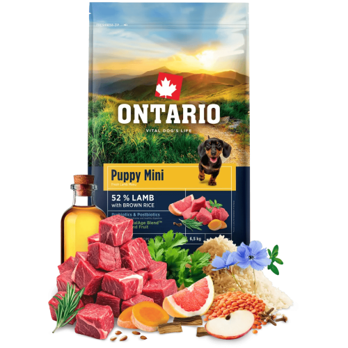Ontario granuly Puppy Mini jahňa a hnedá ryža 6,5 kg Ontario granuly Puppy Mini jahňa a hnedá ryža 6,5 kg