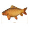 Plyšový kapor Delphin CARPY 60 cm Plyšový kapor Delphin CARPY 60 cm