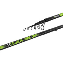 Delphin XAWER TeleFLOAT 390cm/30g