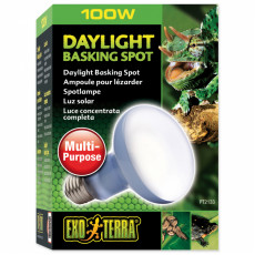 Exo Terra žiarovka Daylight Basking Spot 100 W