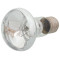 RP ziarovka Daylight Basking Spot 50W