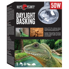 RP ziarovka Daylight Basking Spot 50W